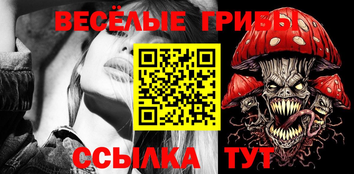 хочу   Галлюциногенные грибы Psilocybe  Галлюциногенные грибы прущие грибы  Вход с VPN  Сергиев Посад 